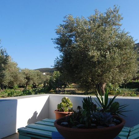 Villa Perivoli Platis Gialos  Luaran gambar